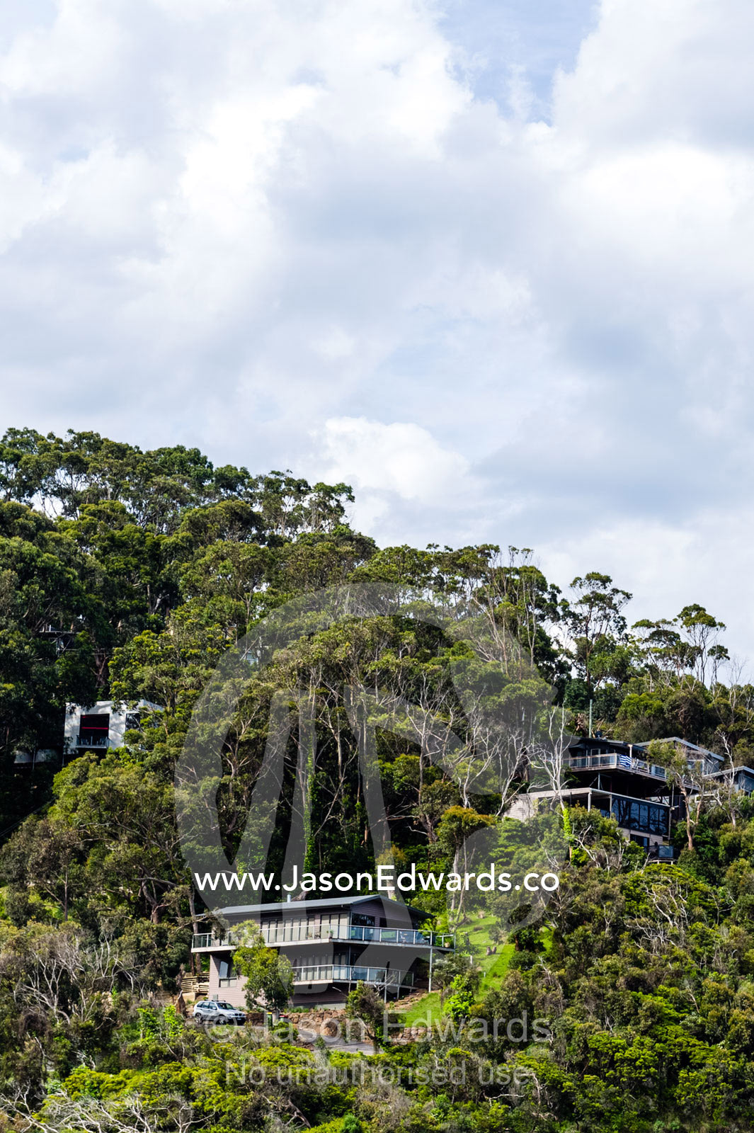 Holiday homes nestled amongst a forest canopy on a coastal hilltop. Wye River, Great Ocean Road, Victoria, Australia.