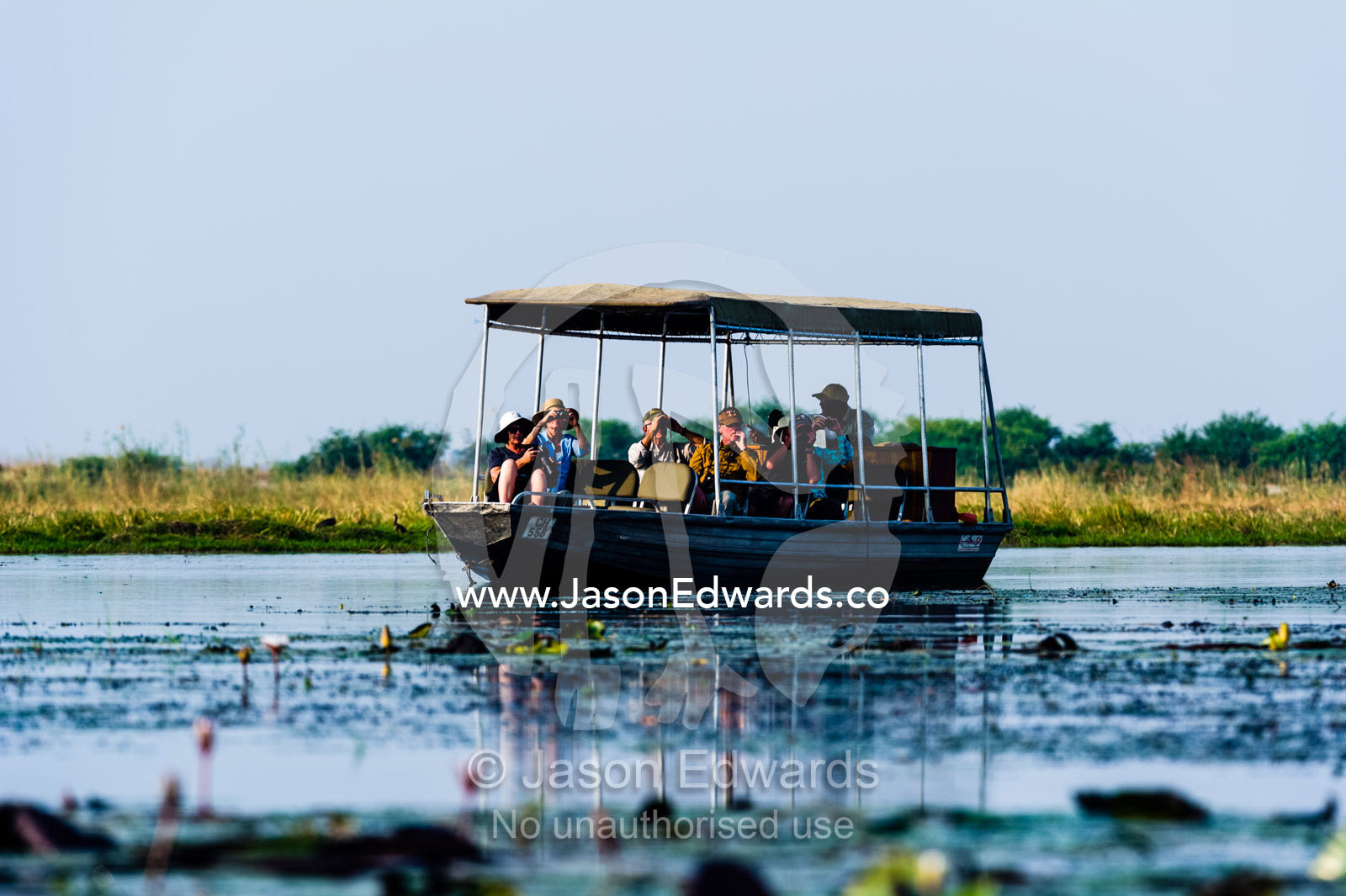 Tourists on safari watch wetland wildlife on the Chobe River by boat. Chobe River, Chobe National Park, Botswana.