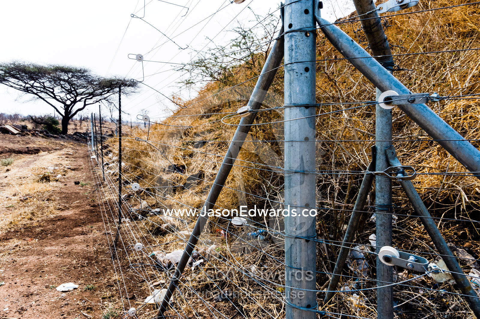 Electrified fences stop elephants from eating waste at a rubbish dump. Kasane, Chobe River, Chobe National Park, Botswana.