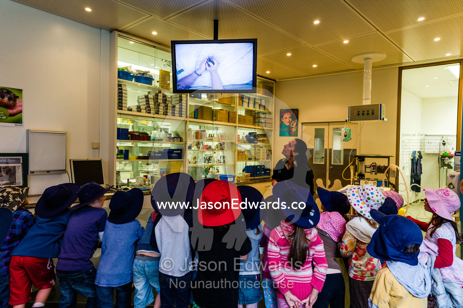 School children watch a vet caring for an animal on a television screen in a zoo animal hospital. Healesville Sanctuary, Zoos Victoria, Healesville, Victoria, Australia.