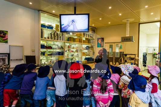 School children watch a vet caring for an animal on a television screen in a zoo animal hospital. Healesville Sanctuary, Zoos Victoria, Healesville, Victoria, Australia.