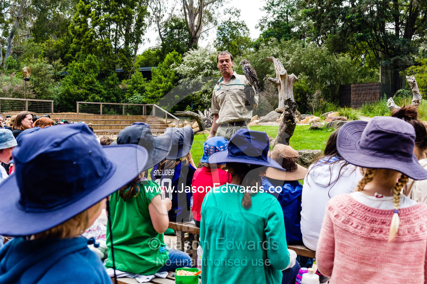 A zoo keeper teaches school children about birds of prey in an animal display. Healesville Sanctuary, Zoos Victoria, Healesville, Victoria, Australia.