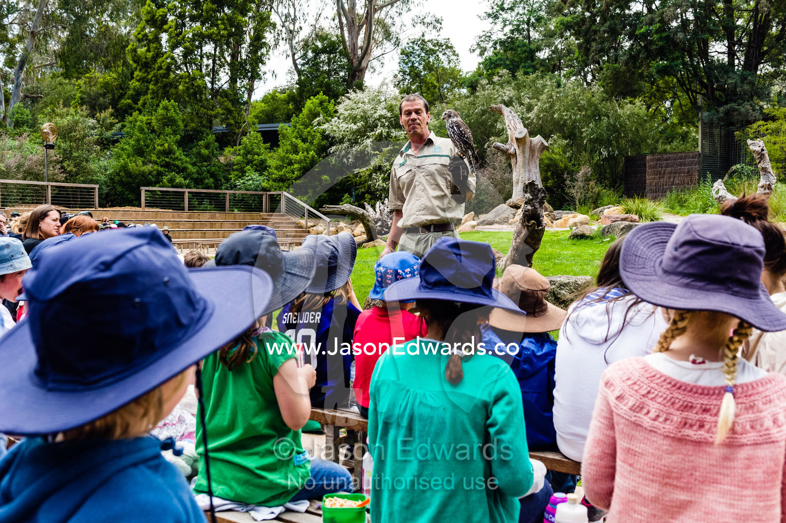 A zoo keeper teaches school children about birds of prey in an animal display. Healesville Sanctuary, Zoos Victoria, Healesville, Victoria, Australia.