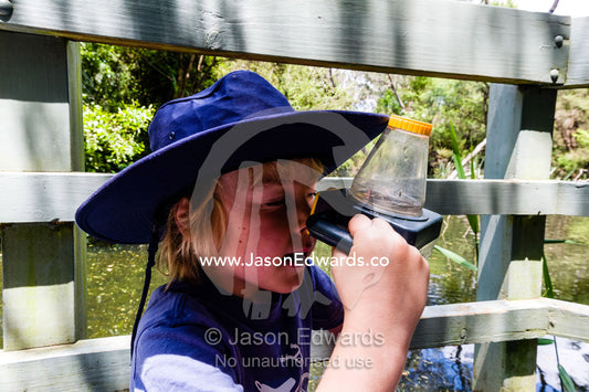 A boy uses a special magnifying glass to observe aquatic pond life on a school excursion. Healesville Sanctuary, Zoos Victoria, Healesville, Victoria, Australia.
