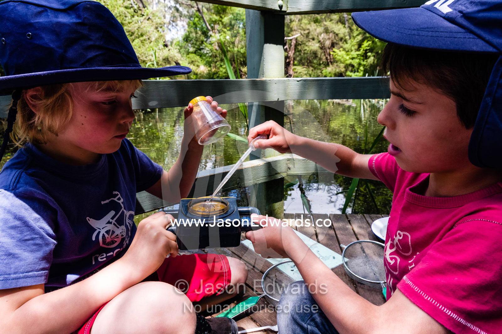 Small boys use a special magnifying glass to observe aquatic pond life on a school excursion. Healesville Sanctuary, Zoos Victoria, Healesville, Victoria, Australia.