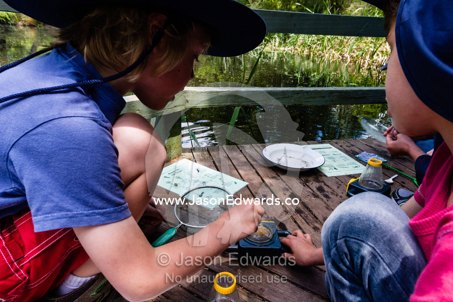 Small boys use a special magnifying glass to observe aquatic pond life on a school excursion. Healesville Sanctuary, Zoos Victoria, Healesville, Victoria, Australia.