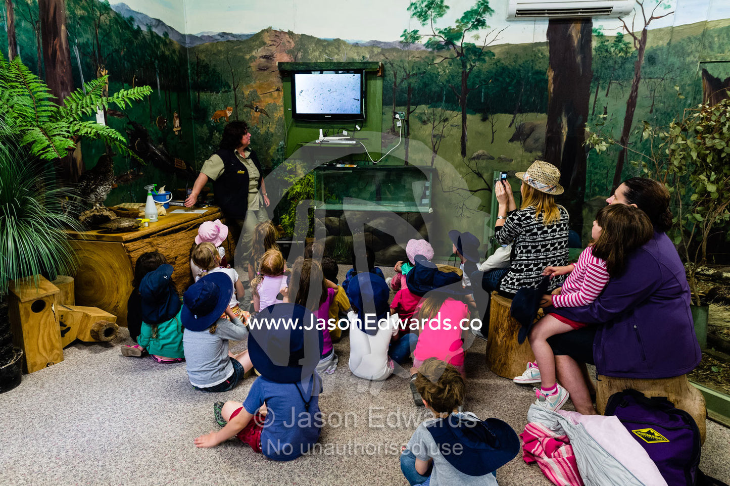 School children watch aquatic pond life on a television screen in a special zoo classroom. Healesville Sanctuary, Zoos Victoria, Healesville, Victoria, Australia.