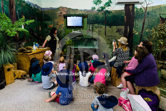 School children watch aquatic pond life on a television screen in a special zoo classroom. Healesville Sanctuary, Zoos Victoria, Healesville, Victoria, Australia.