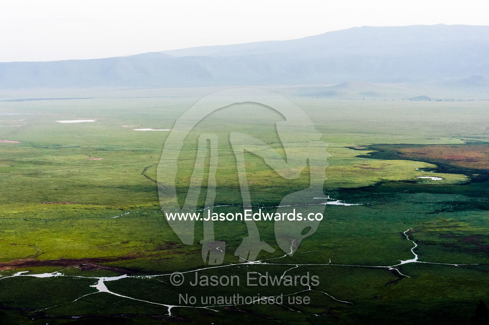 The lush savannah plain crossed by streams in an extinct volcano surrounded by a caldera wall. Ngorongoro Crater, Ngorongoro Conservation Area, Ngorongoro District, Tanzania.