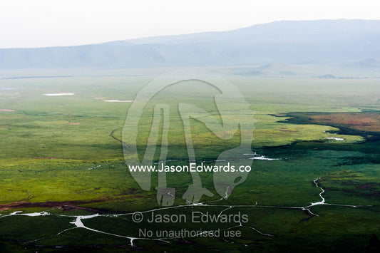The lush savannah plain crossed by streams in an extinct volcano surrounded by a caldera wall. Ngorongoro Crater, Ngorongoro Conservation Area, Ngorongoro District, Tanzania.