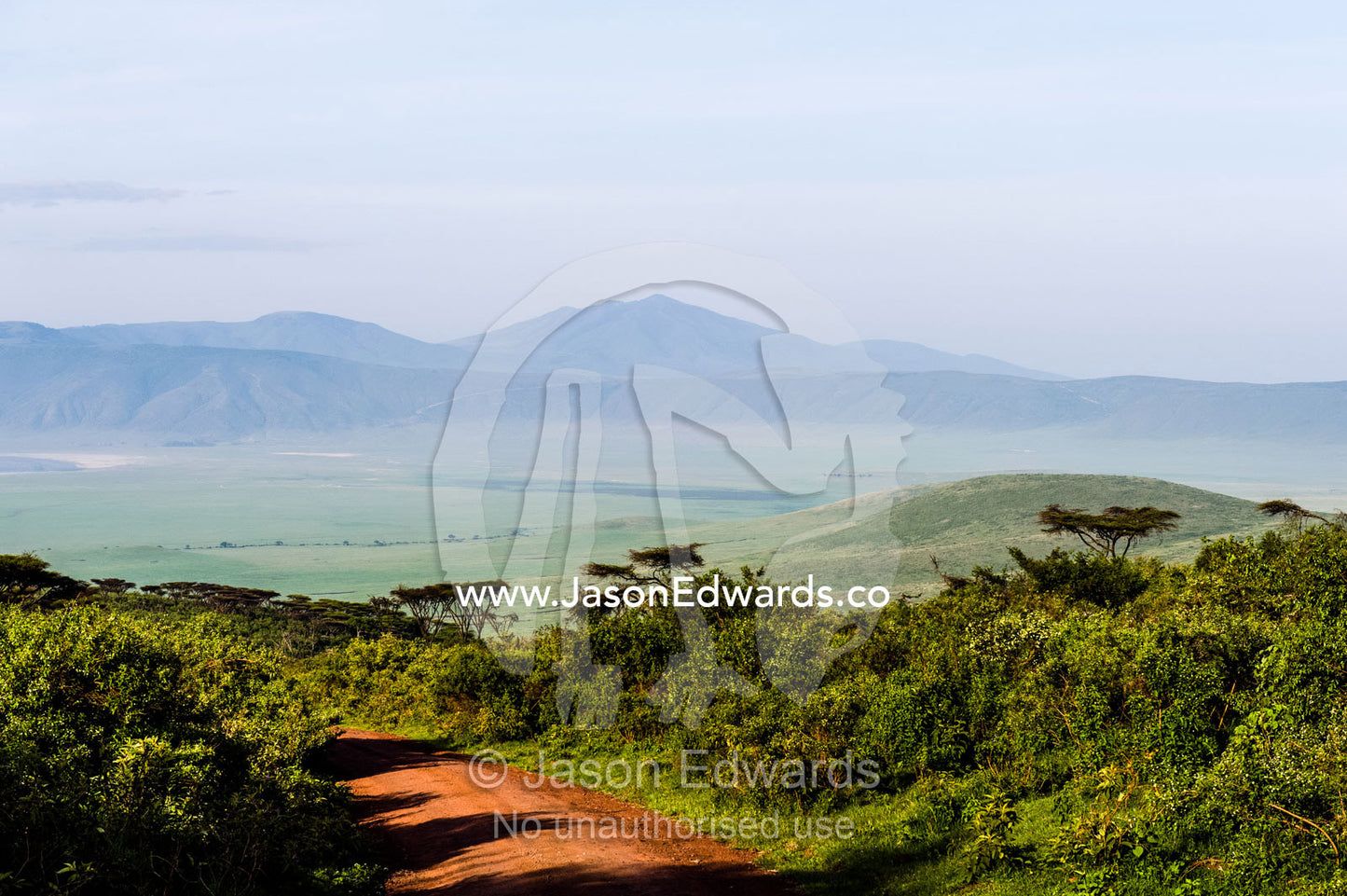 A road leads to the savannah plain of an extinct volcano surrounded by a caldera wall. Ngorongoro Crater, Ngorongoro Conservation Area, Ngorongoro District, Tanzania.