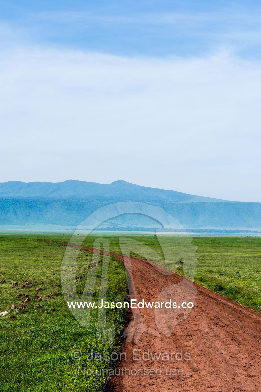 A dirt road crosses a savannah plain on the floor of a volcano caldera. Ngorongoro Crater, Ngorongoro Conservation Area, Ngorongoro District, Tanzania.
