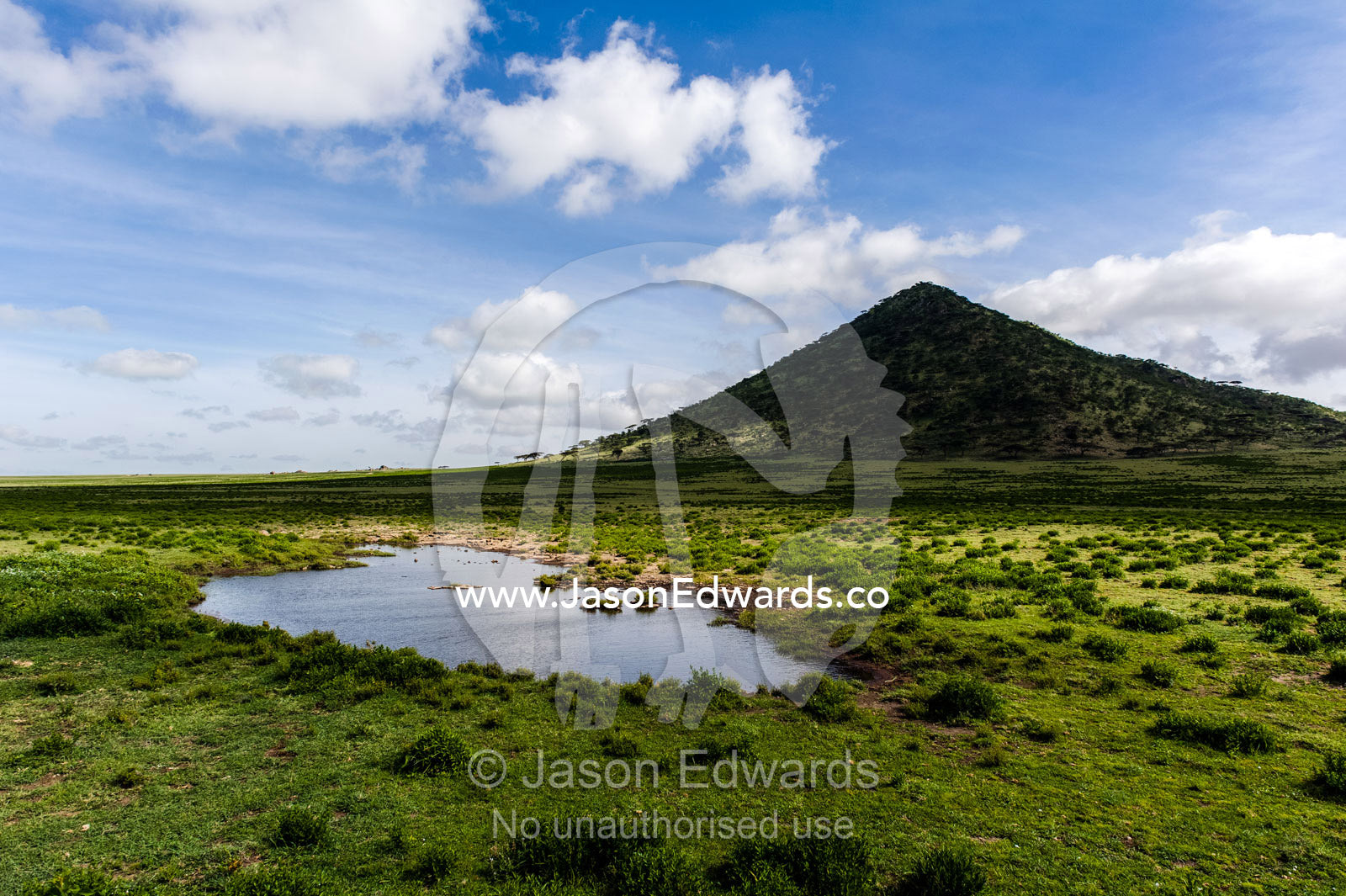 A small waterhole at the base of a pointed hill on the savannah. Ngorongoro Conservation Area, Ngorongoro District, Tanzania.