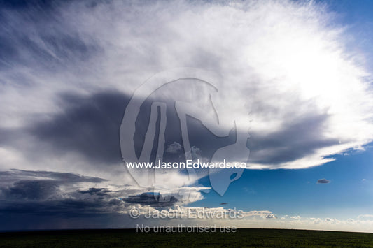 A storm front approaches the savannah and is forced skyward by strong winds. Ngorongoro Conservation Area, Ngorongoro District, Tanzania.