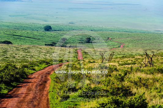 A dirt road winds through the vast savannah plain at the foot of a volcano caldera. Ngorongoro Crater, Ngorongoro Conservation Area, Ngorongoro District, Tanzania, Africa.