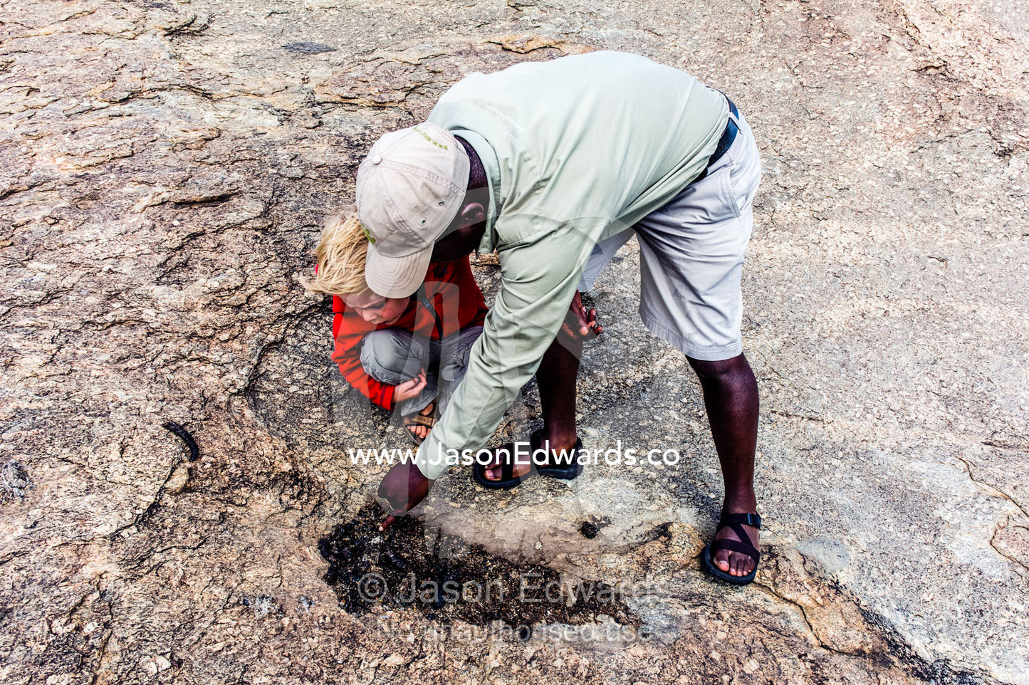 A guide explains about the feces and territory markings of an African Civet to a boy on safari. Ngorongoro Conservation Area, Ngorongoro District, Tanzania, Africa.