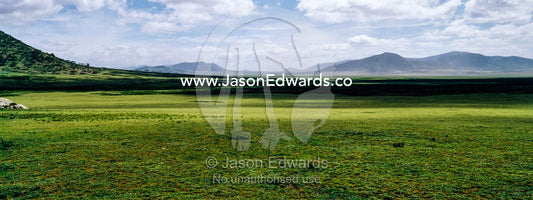 Shadows fall across a vast savannah plain to distant mountains on the horizon. Ngorongoro Conservation Area, Ngorongoro District, Tanzania, Africa.