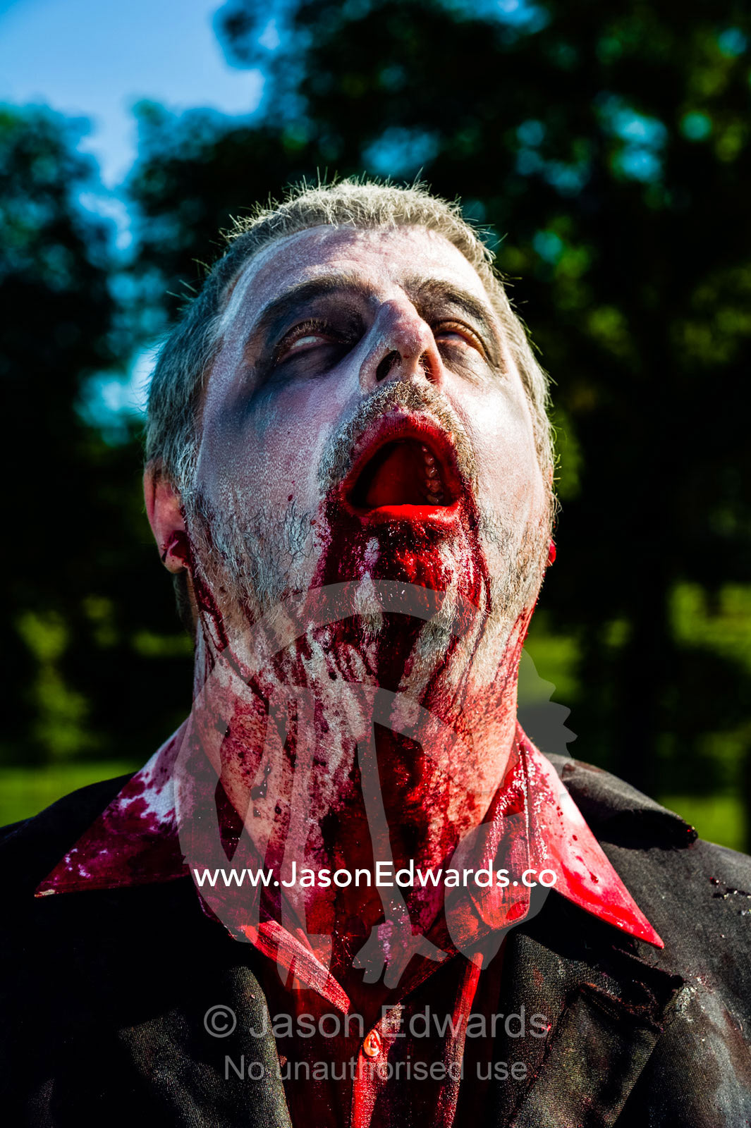 A man dressed as a zombie in a suit jacket and a blood-soaked shirt drooling blood. Queen Victoria Gardens, Royal Botanic Gardens, South Yarra, Melbourne, Victoria, Australia.