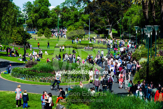 Crowds gather in a city garden park on a sunny weekend afternoon. Queen Victoria Gardens, Royal Botanic Gardens, South Yarra, Melbourne, Victoria, Australia.