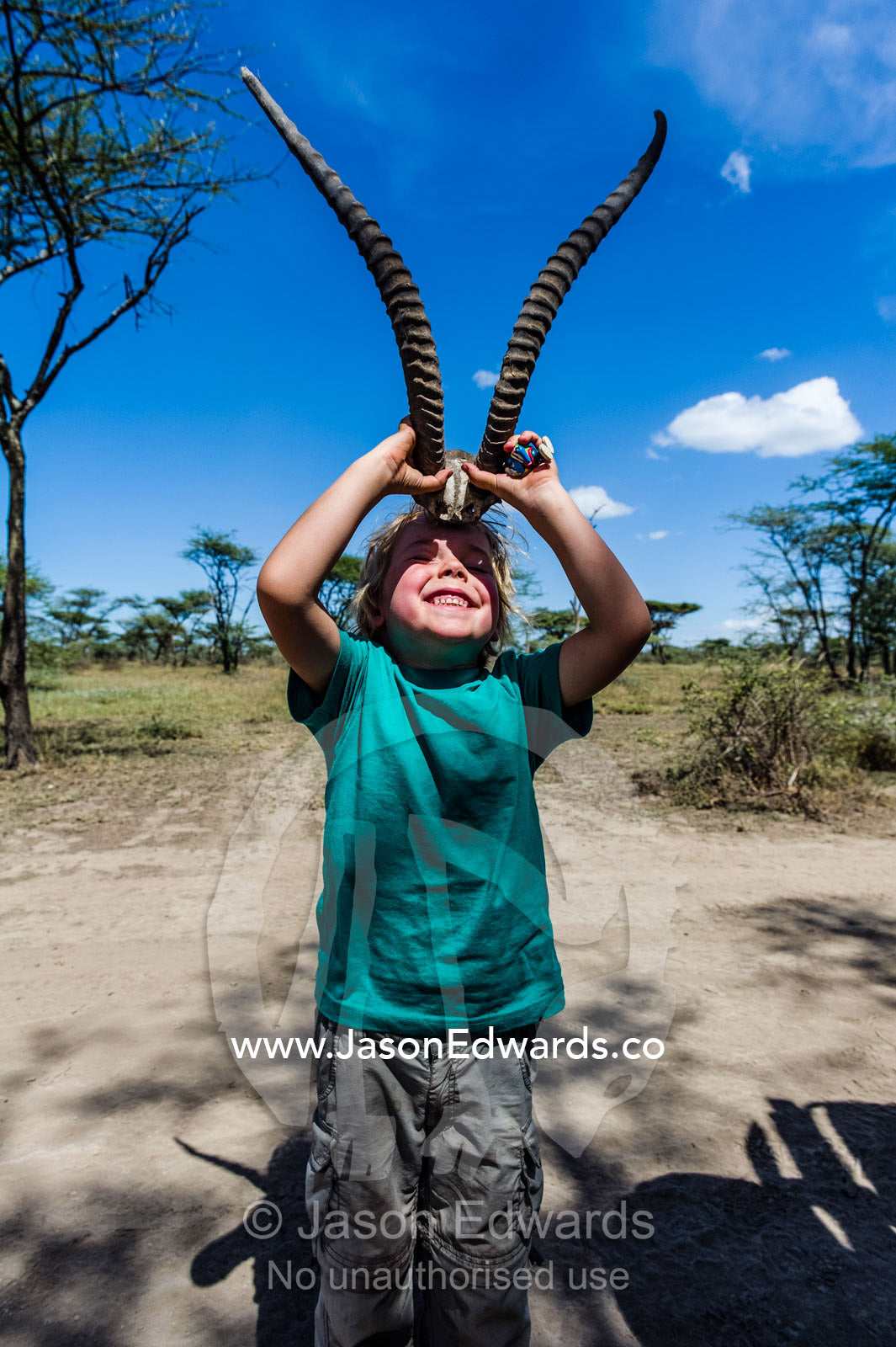 A boy holds gazelle horns on his head whilst on safari in Africa. Serengeti National Park, Serengeti, World Heritage Site, Tanzania.