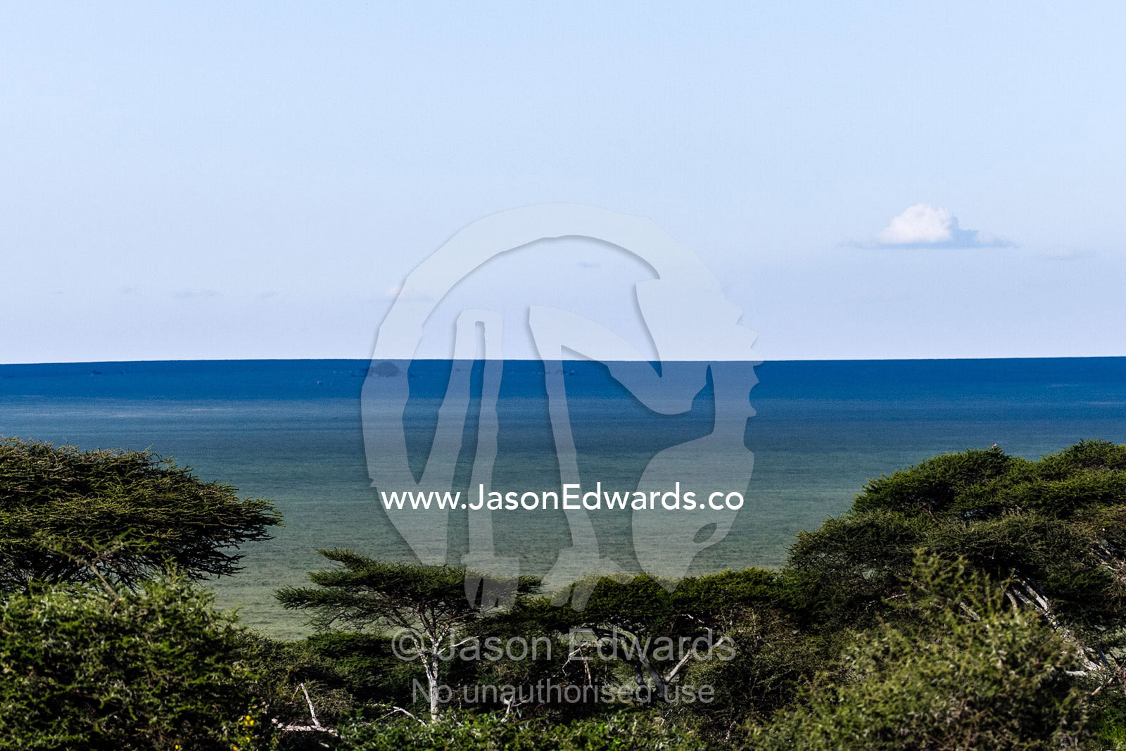 The view over the canopy of an acacia woodland to the vast and endless savannah plain. Serengeti National Park, Serengeti, World Heritage Site, Tanzania.