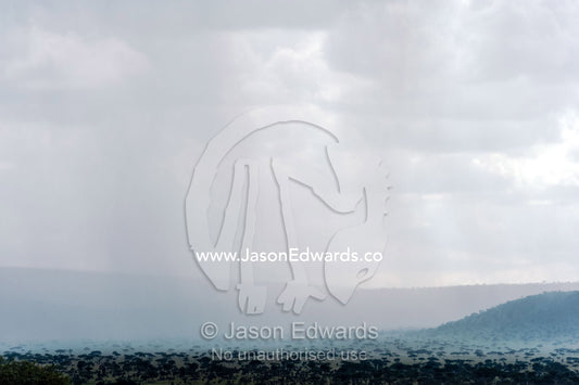 A storm curtains the savannah plain and acacia woodlands in heavy rain. Moru Kopjes, Serengeti National Park, Serengeti, World Heritage Site, Tanzania.