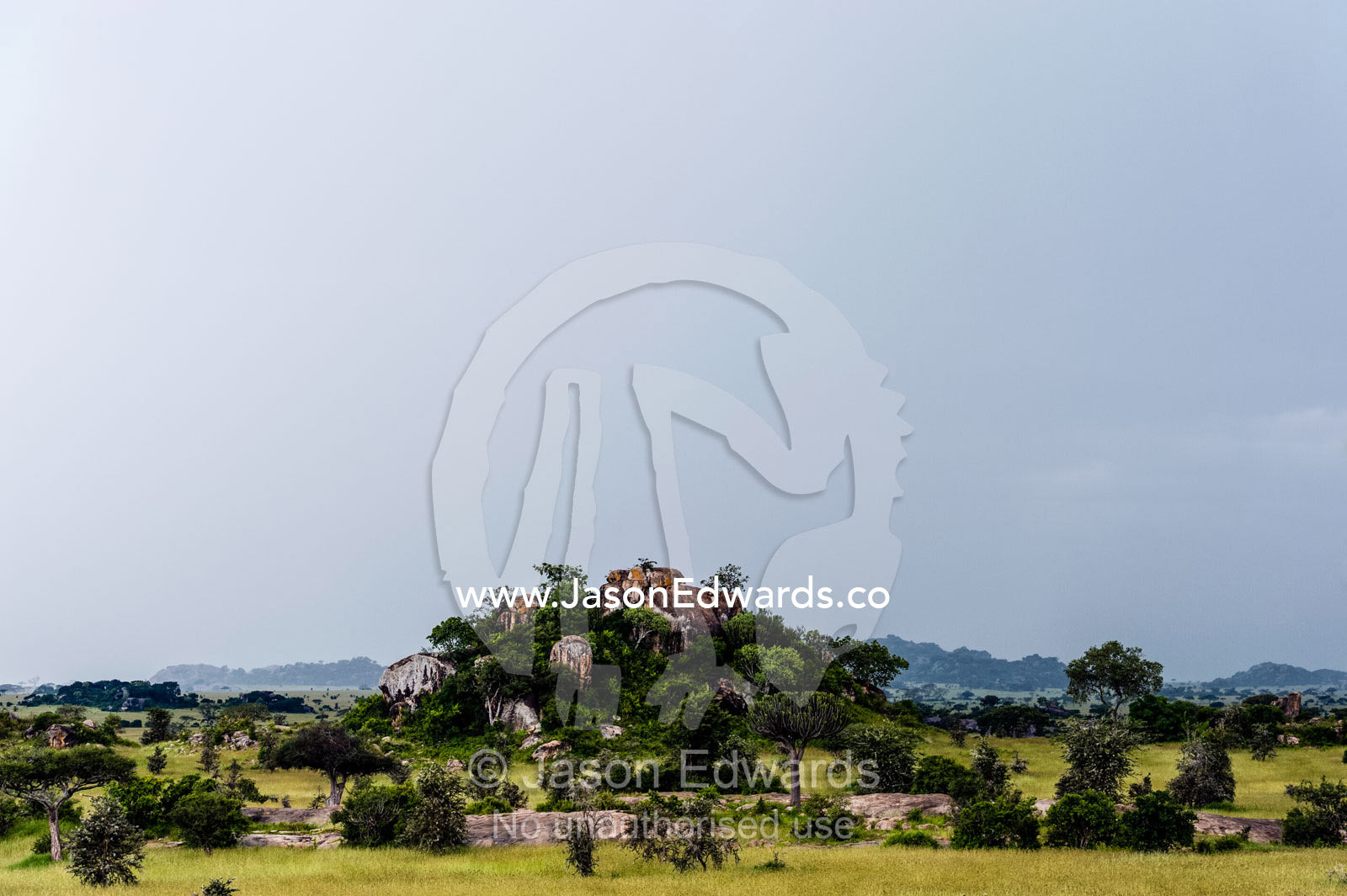 A grey rain storm descend over a granite kopje rising from the savannah grassland. Moru Kopjes, Serengeti National Park, Serengeti, World Heritage Site, Tanzania.