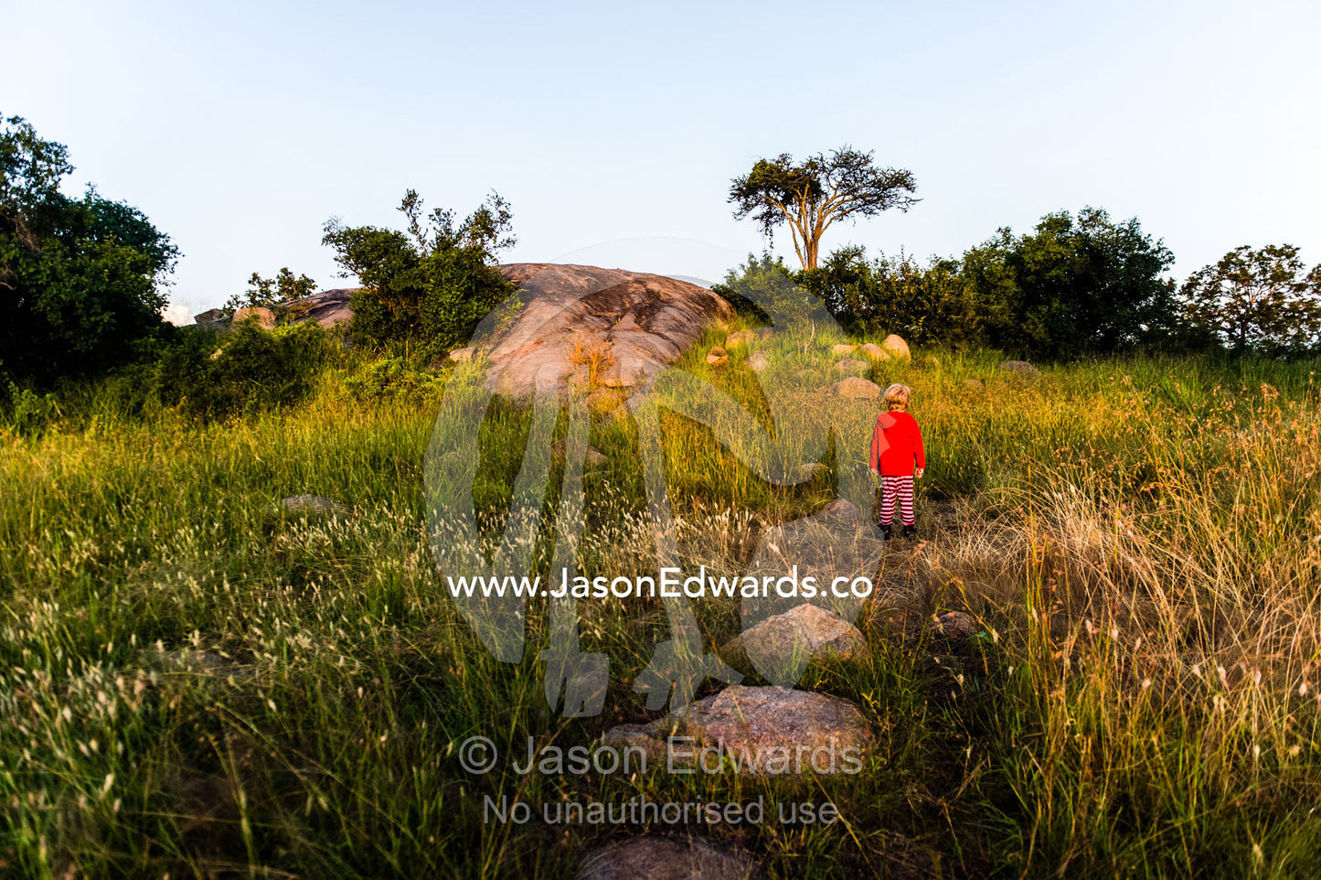 At dawn a small boy on safari explores a rocky granite outcrop known as a kopje in his bright red pyjamas. Moru Kopjes, Serengeti National Park, Serengeti, World Heritage Site, Tanzania.