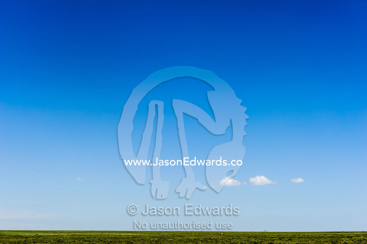 A lonely cloud dwarfed by a vast blue sky over the savannah grassland horizon. Serengeti National Park, Serengeti, Tanzania.