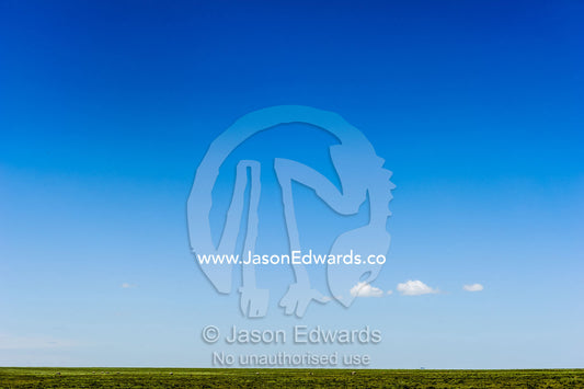 A lonely cloud dwarfed by a vast blue sky over the savannah grassland horizon. Serengeti National Park, Serengeti, Tanzania.