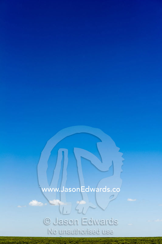 A lonely cloud dwarfed by a vast blue sky over the savannah grassland horizon. Serengeti National Park, Serengeti, Tanzania.