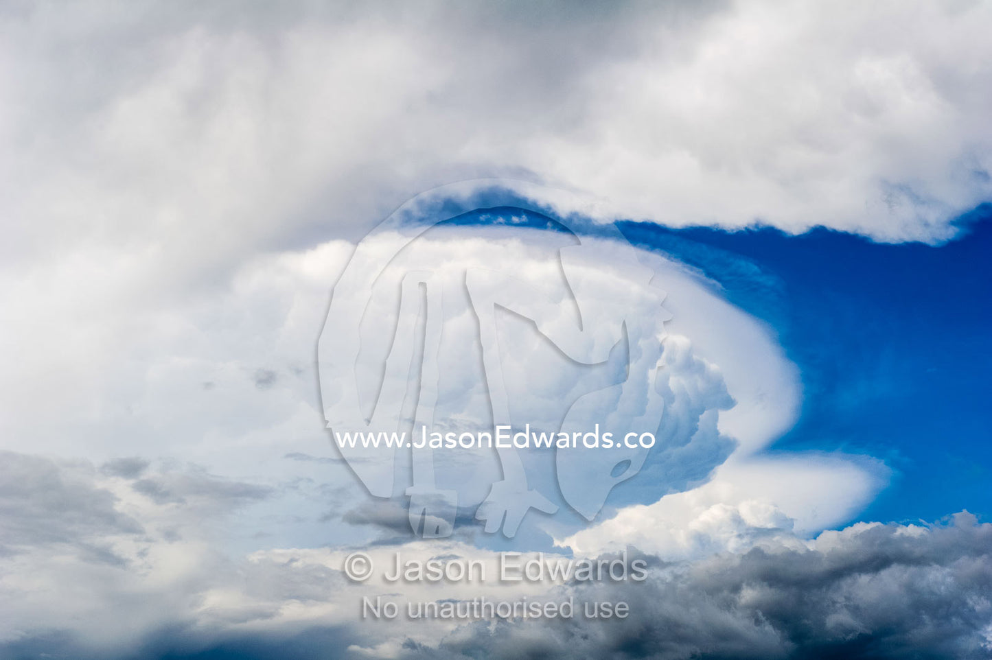 A billowing cumulonimbus cloud forming over the savannah. Serengeti National Park, Serengeti, Tanzania.