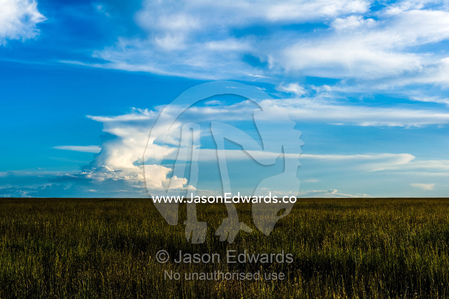 An enormous cumulonimbus develops over a vast and featureless savannah plain. Serengeti National Park, Serengeti, Tanzania.