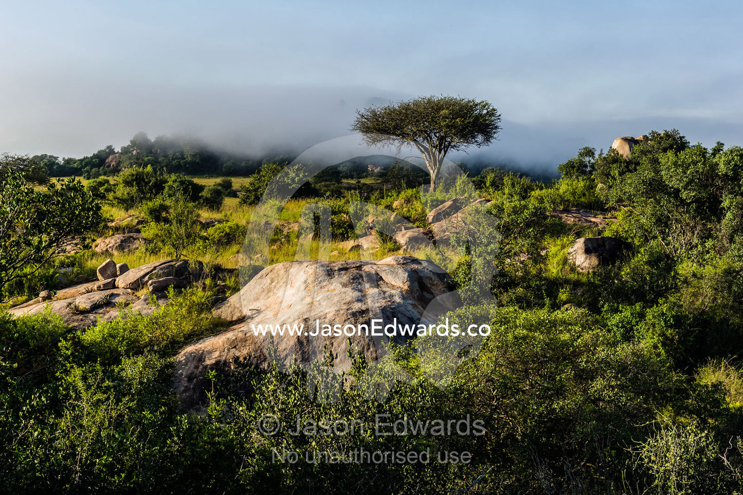 Shrubs, acacia trees, evergreen forest  and mist shroud islands of granite kopjes above the savannah. Serengeti National Park, Serengeti, Tanzania.