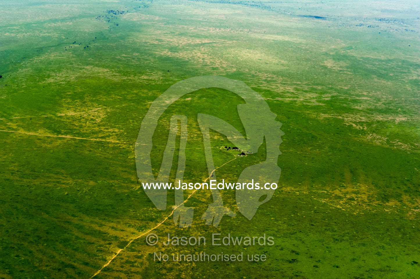 A safari track crosses the green savannah plain to a granite outcrop known as a kopje. Serengeti National Park, Serengeti, Tanzania.