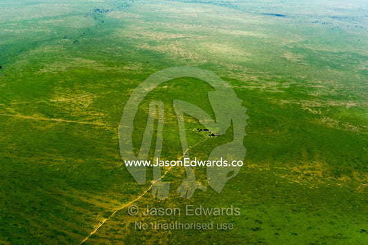 A safari track crosses the green savannah plain to a granite outcrop known as a kopje. Serengeti National Park, Serengeti, Tanzania.