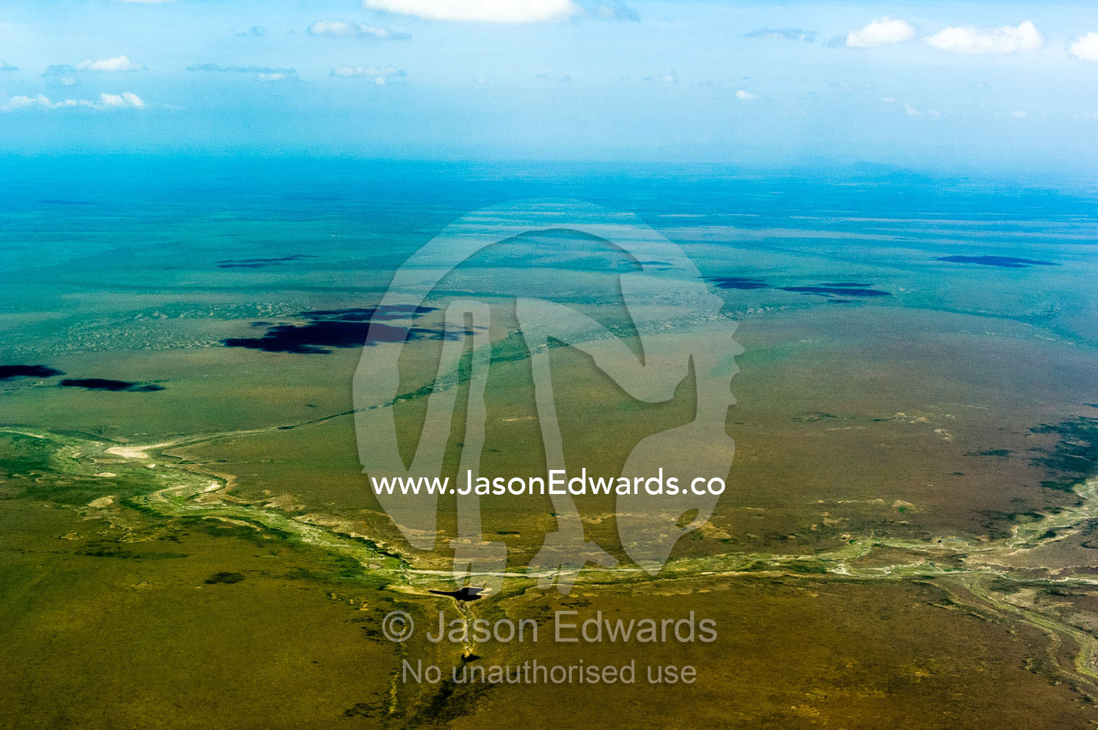 A dry river bed crosses the vast, green savannah plain passing a dwindling waterhole. Serengeti National Park, Serengeti, Tanzania.