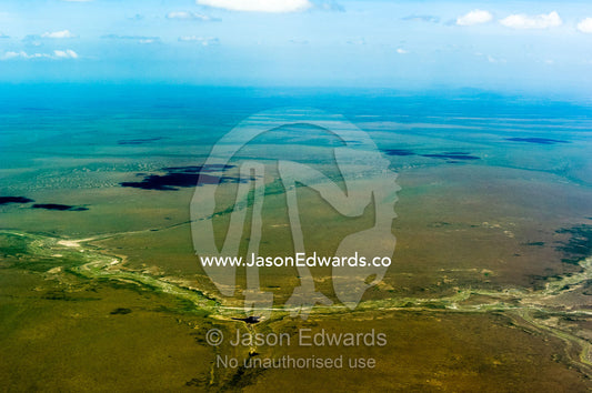 A dry river bed crosses the vast, green savannah plain passing a dwindling waterhole. Serengeti National Park, Serengeti, Tanzania.