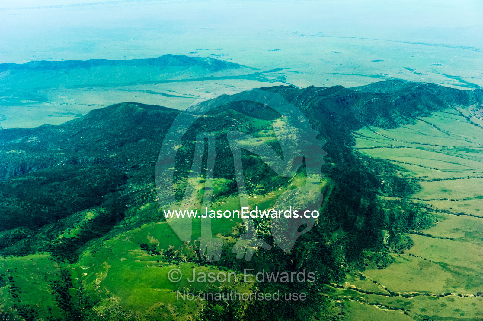 Forested volcanic mountain slopes rise above the vast, green savannah plain. Crater Highlands, Ngorongoro Highlands, Serengeti National Park, Serengeti, Tanzania.