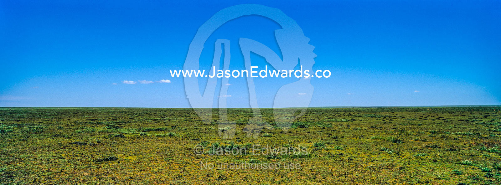 The vast and featureless short grass savannah plain beneath a clear blue sky. Serengeti National Park, Serengeti, Tanzania.