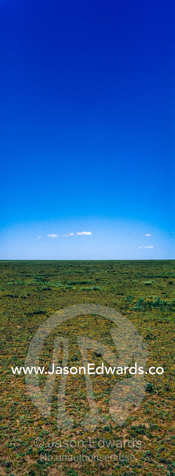 The vast and featureless short grass savannah plain beneath a clear blue sky. Serengeti National Park, Serengeti, Tanzania.