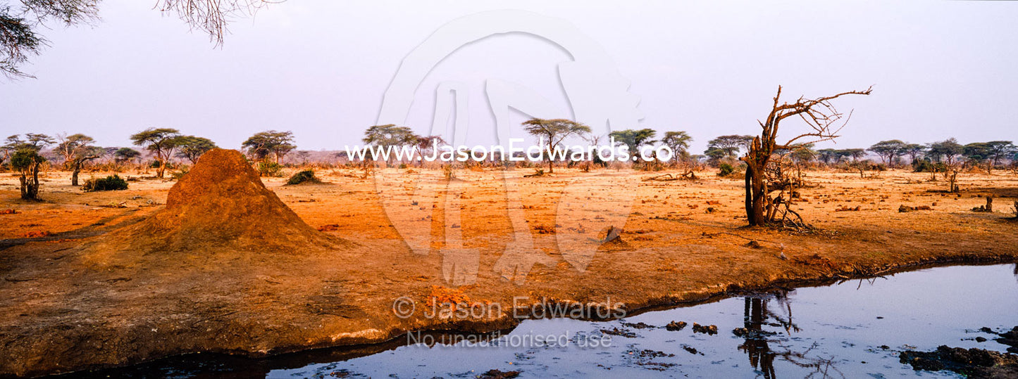 A dwindling waterhole surrounded by a dry season savannah plain at sunset. Chobe River, Chobe National Park, Botswana.