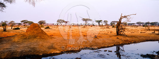 A dwindling waterhole surrounded by a dry season savannah plain at sunset. Chobe River, Chobe National Park, Botswana.