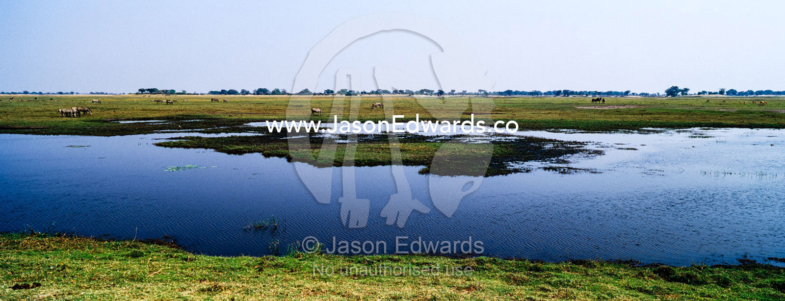 A dwindling waterhole on a vast flood plain in the dry season. Chobe River, Chobe National Park, Botswana.