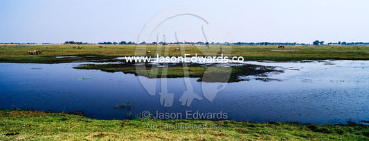 A dwindling waterhole on a vast flood plain in the dry season. Chobe River, Chobe National Park, Botswana.