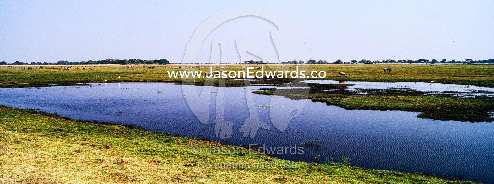 A dwindling waterhole on a vast flood plain in the dry season. Chobe River, Chobe National Park, Botswana.