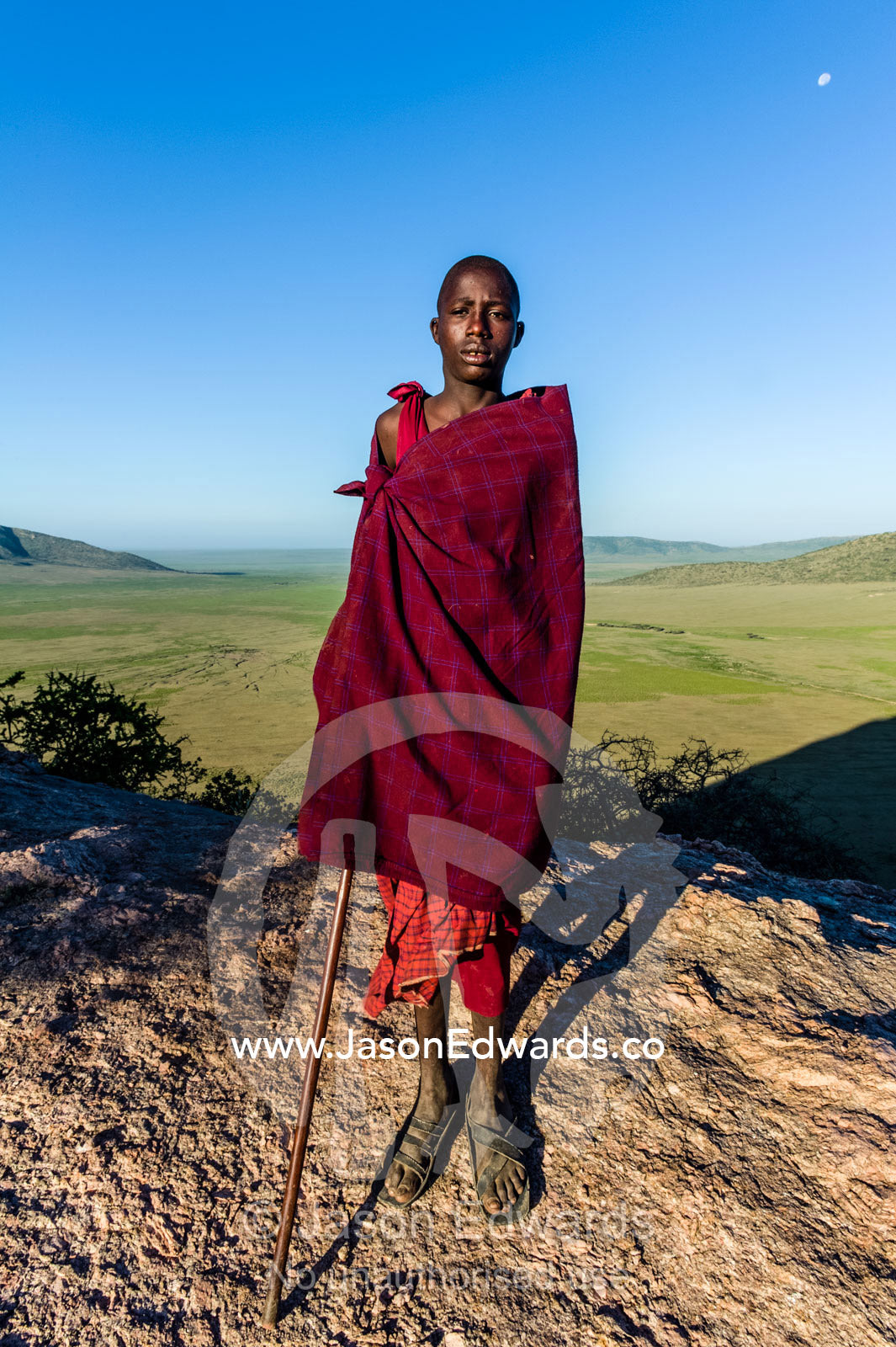 A Maasai warrior and cattle herder on a mountaintop overlooking a savannah plain. Arusha, Nasera Rock, Angata Kiti Valley, Ngorongoro Conservation Area, Crater Highlands, Tanzania, Africa.