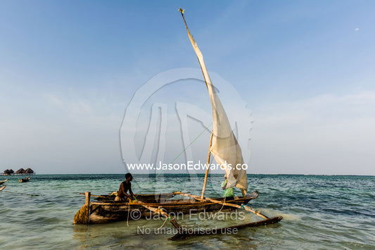 A fisherman moors his wooden trimaran sailing dhow in the shallows at sunset. Bwejuu, Unguja Island, Zanzibar, Tanzania, Africa.