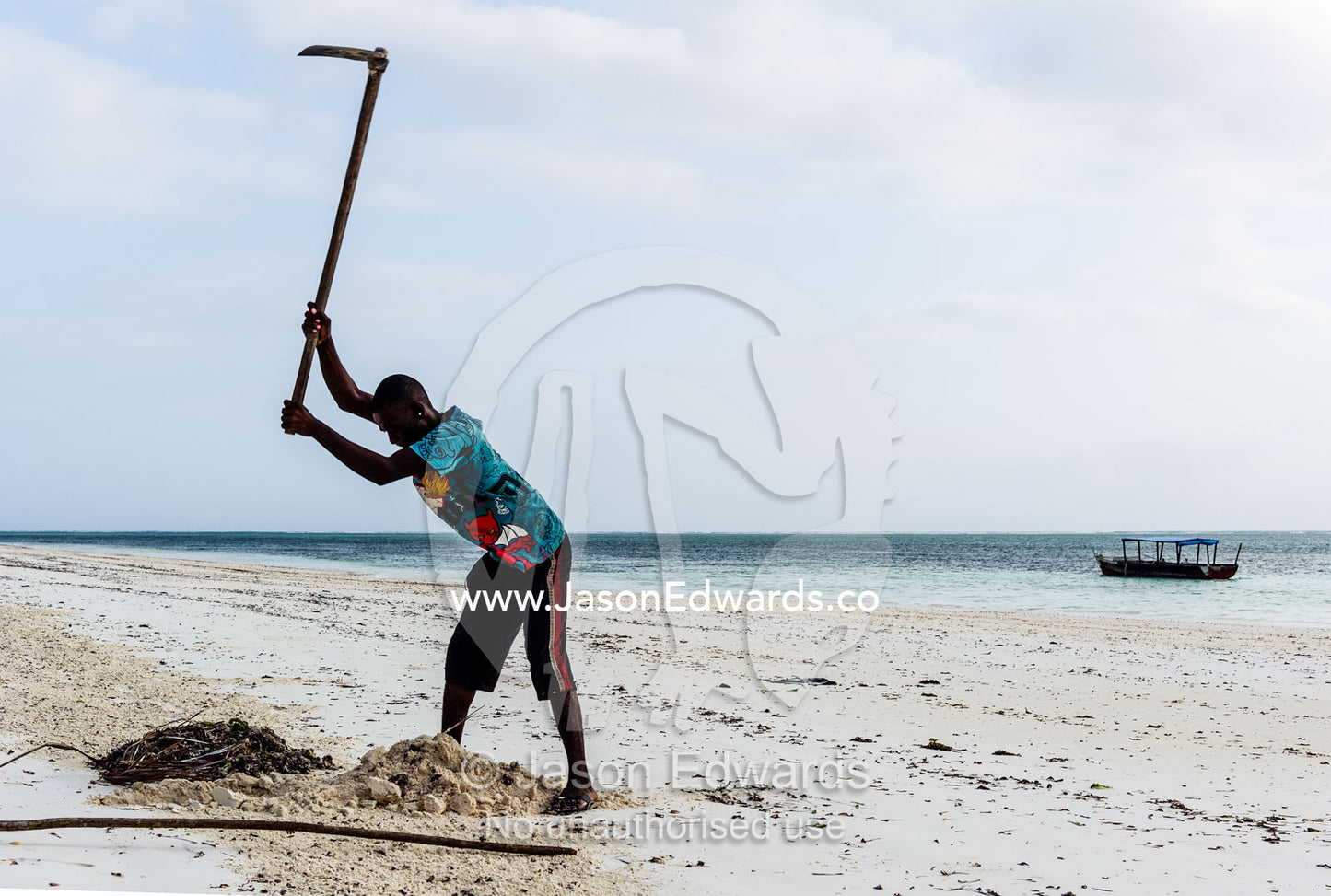 A villager buries seaweed and tidal debris at low tide after raking it up to tidy a beach near a tropical island resort. Bwejuu, Echo Beach, Unguja Island, Zanzibar, Tanzania.