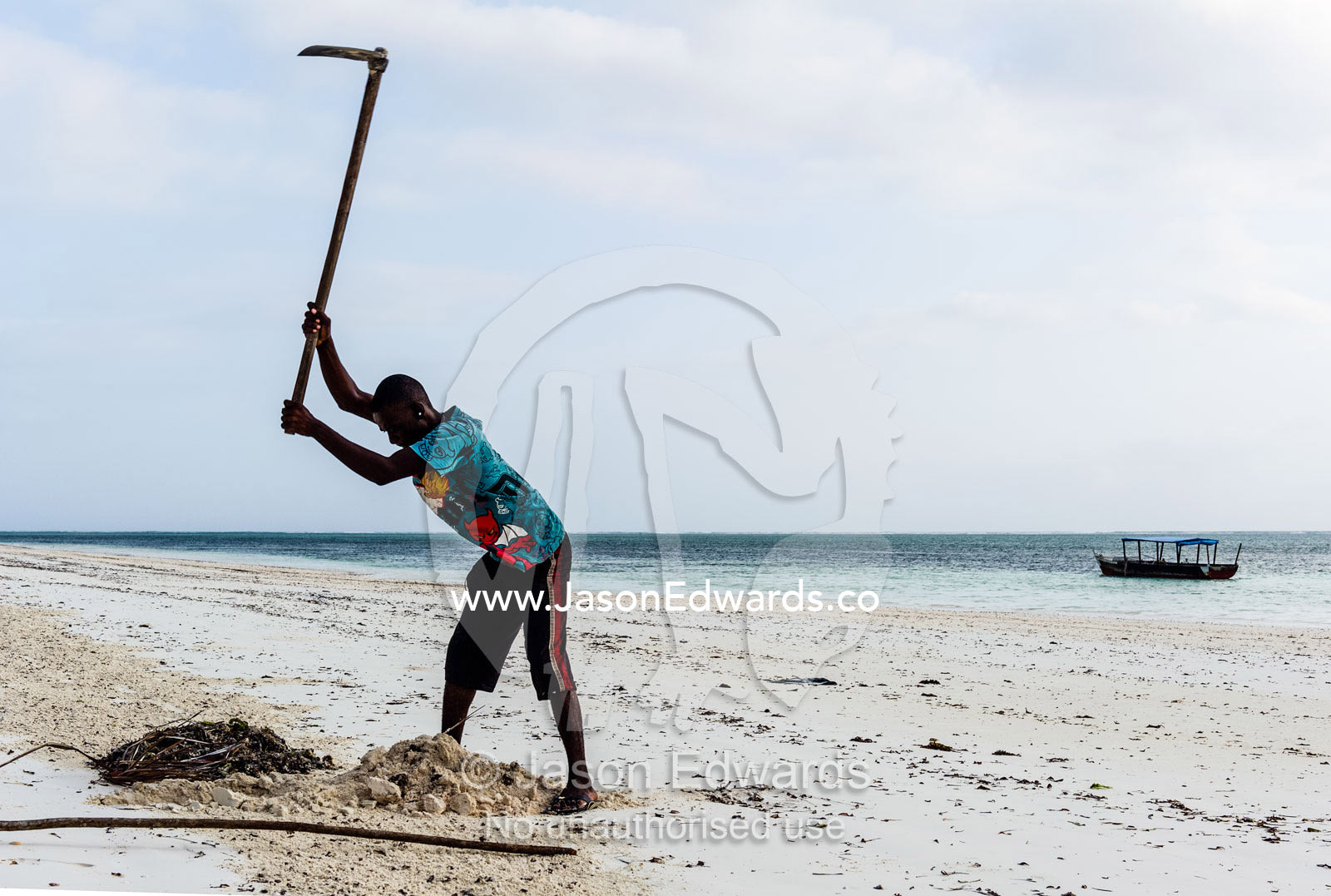 A villager buries seaweed and tidal debris at low tide after raking it up to tidy a beach near a tropical island resort. Bwejuu, Echo Beach, Unguja Island, Zanzibar, Tanzania.